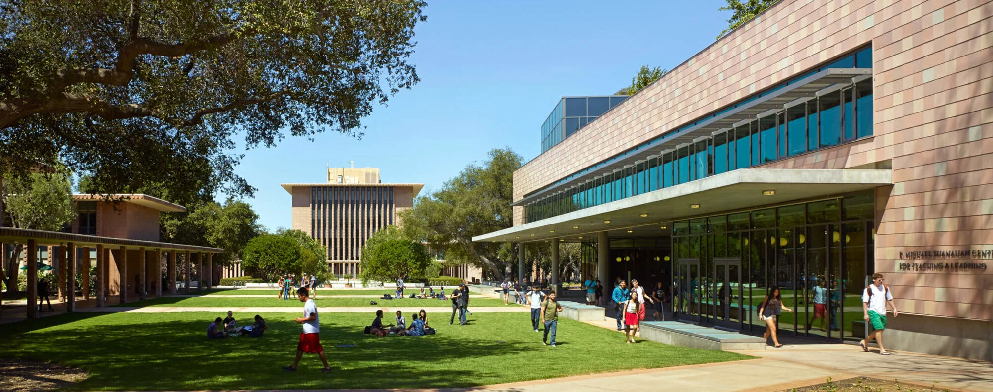 Everything You Need to Know: STEM Majors