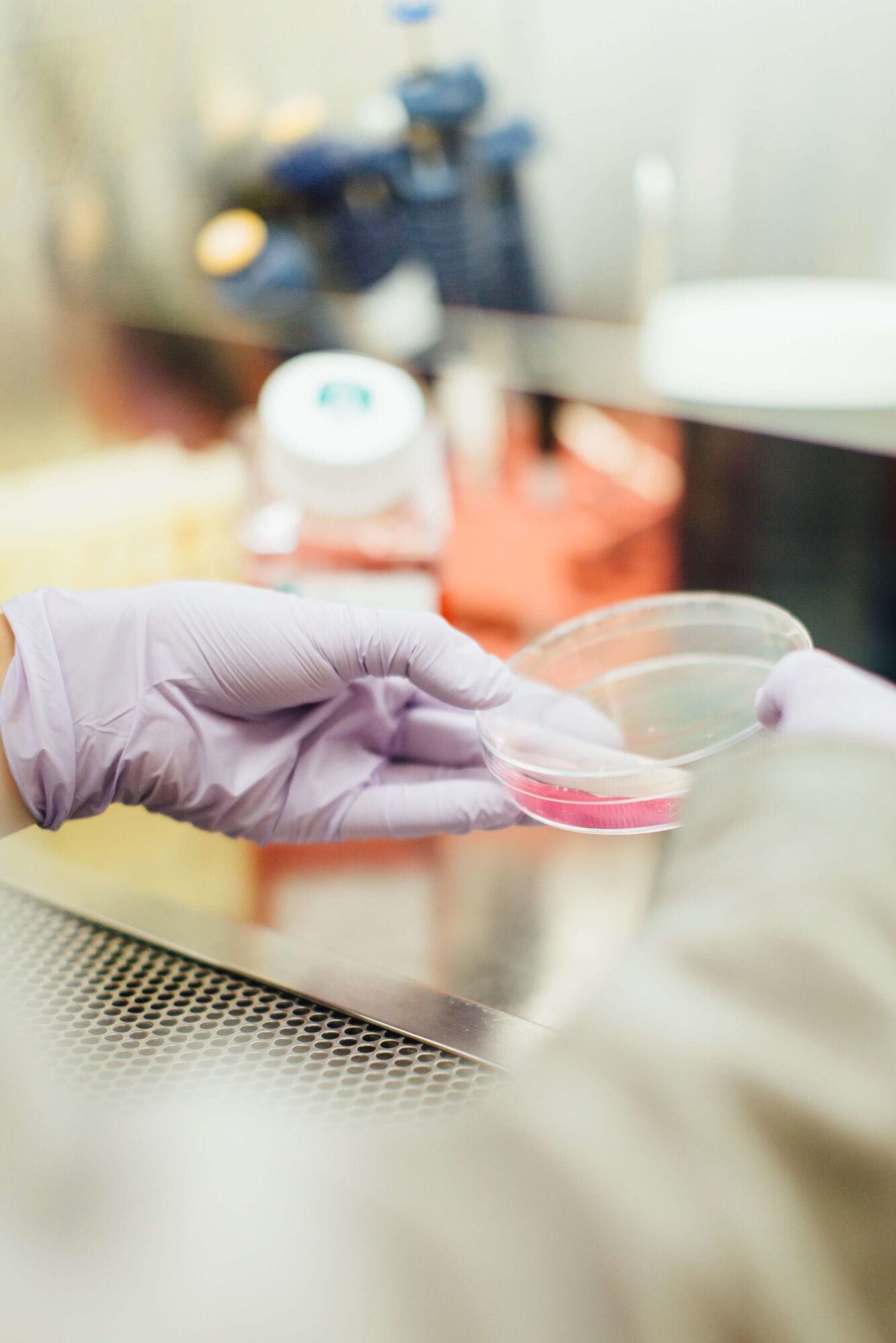 Biomedical Science: Not Just A Safety Major for U.K. Medicine Applicants