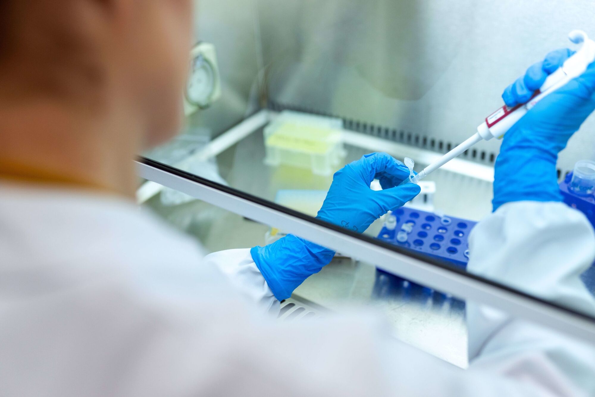 Biomedical Science: Not Just A Safety Major for U.K. Medicine Applicants
