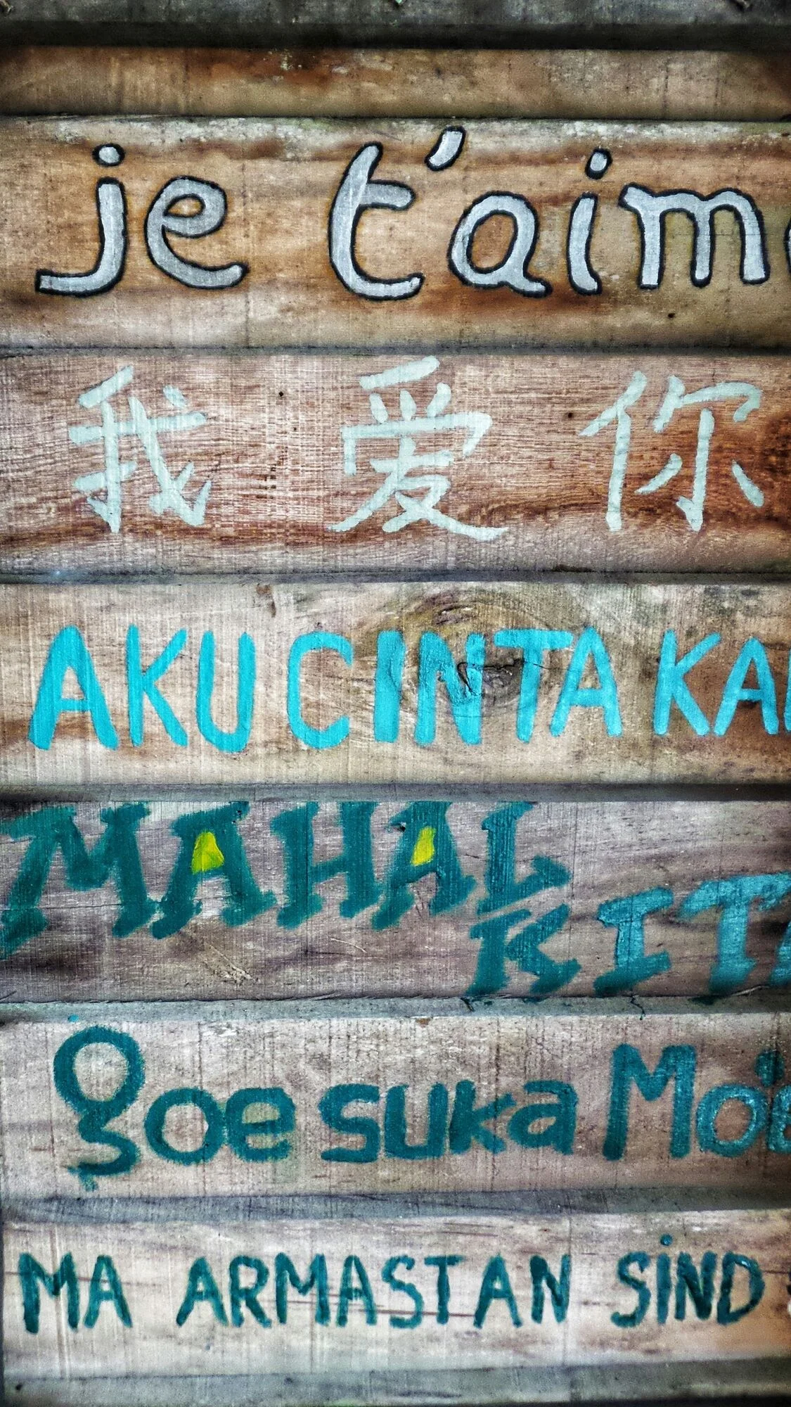 Cool Majors: Linguistics