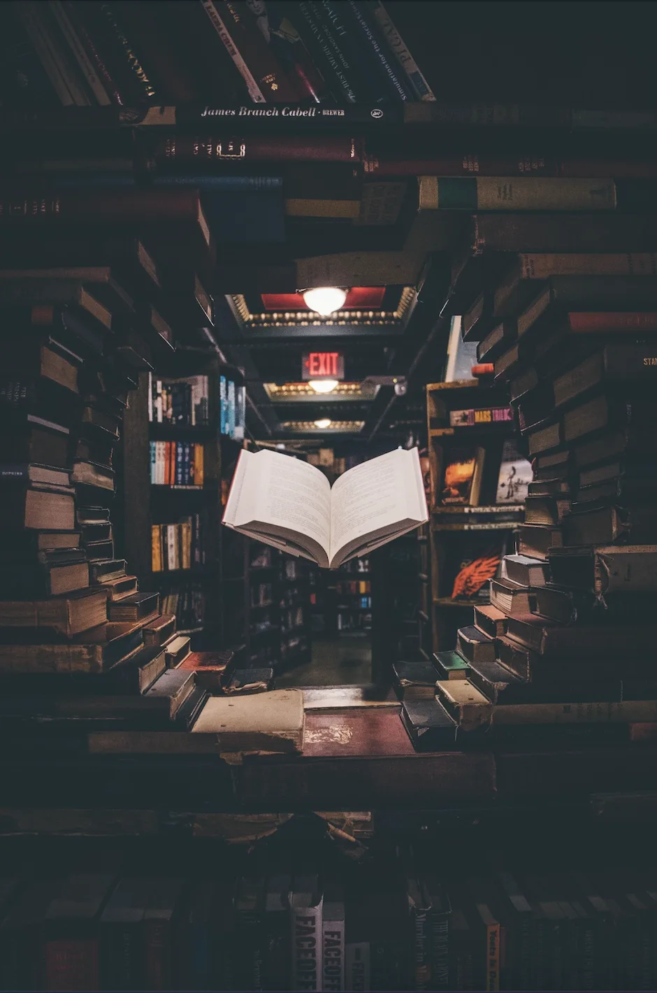 The Oxford Experience