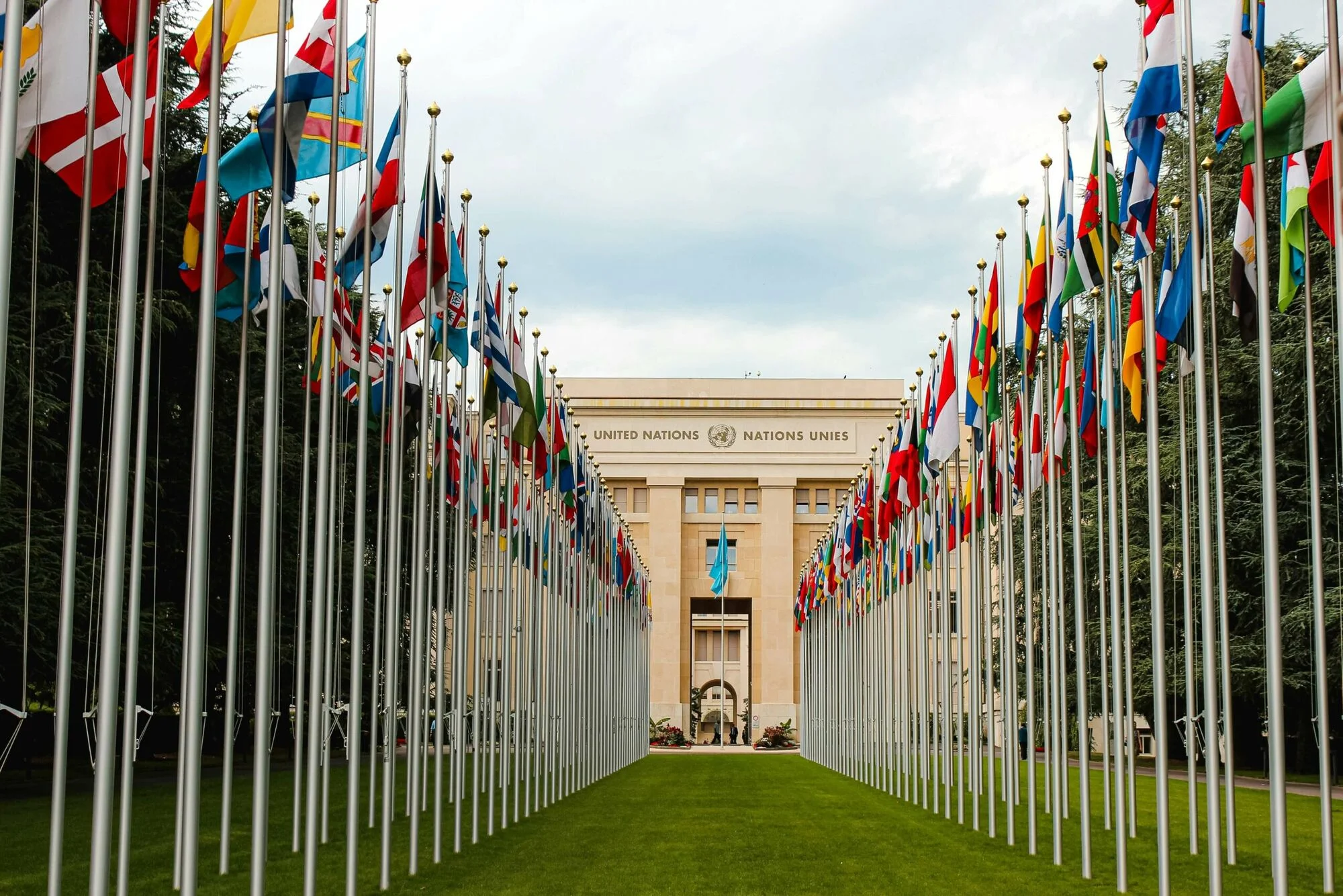 Cool Majors: International Relations