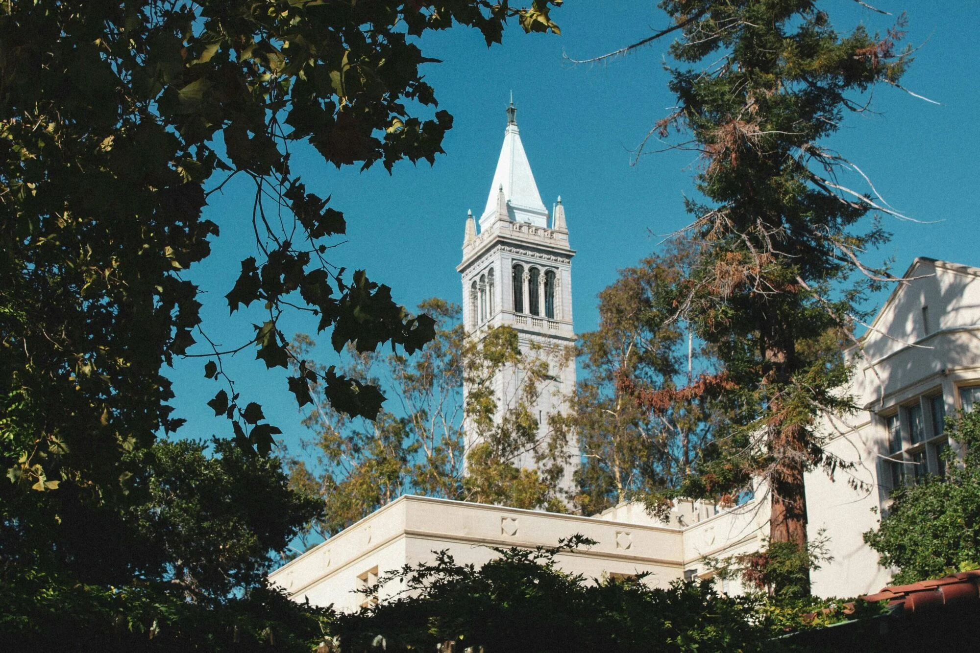 Public vs. Private Universities in the US