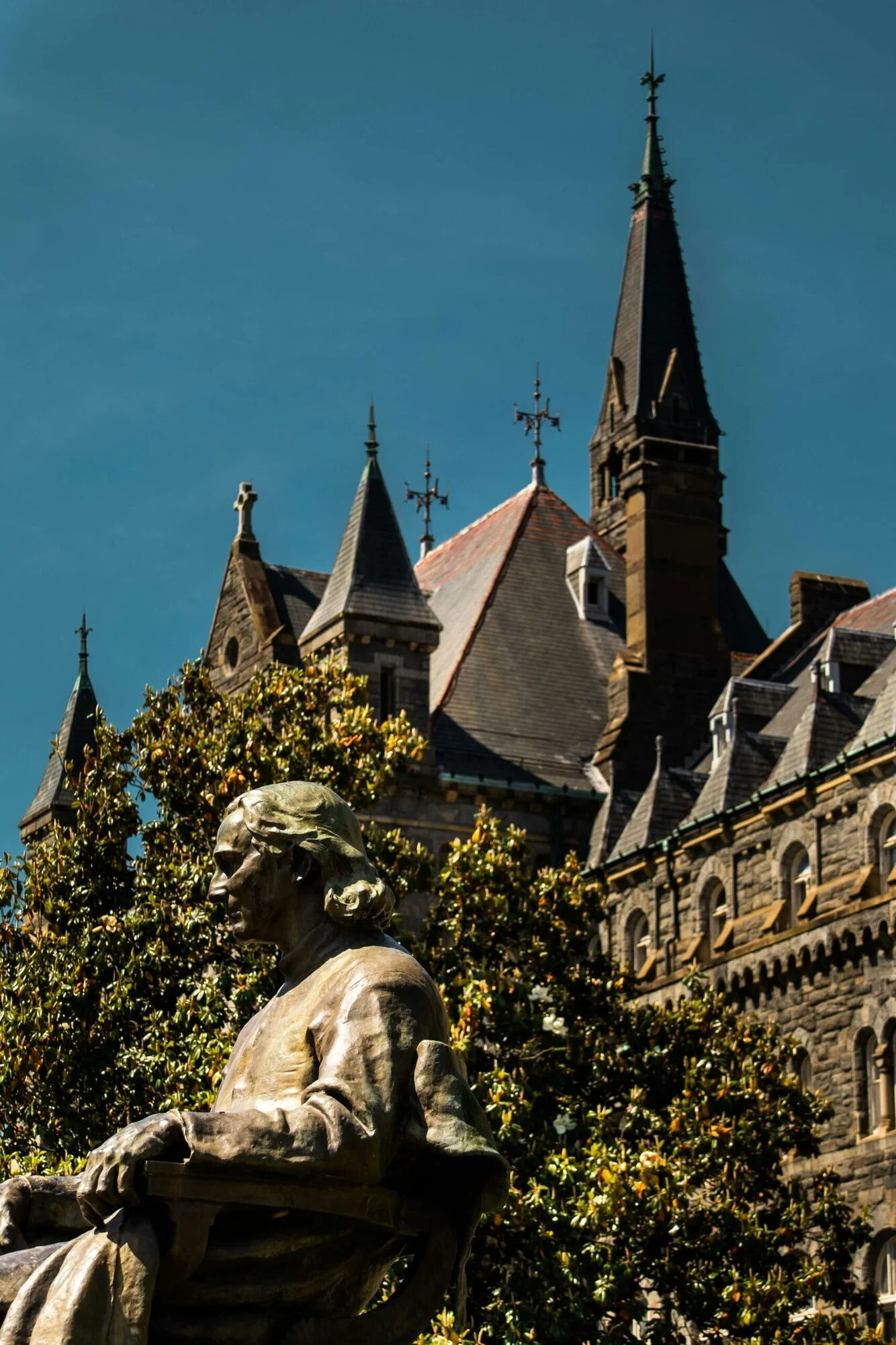 Quantum’s Top Picks for Pre-Law